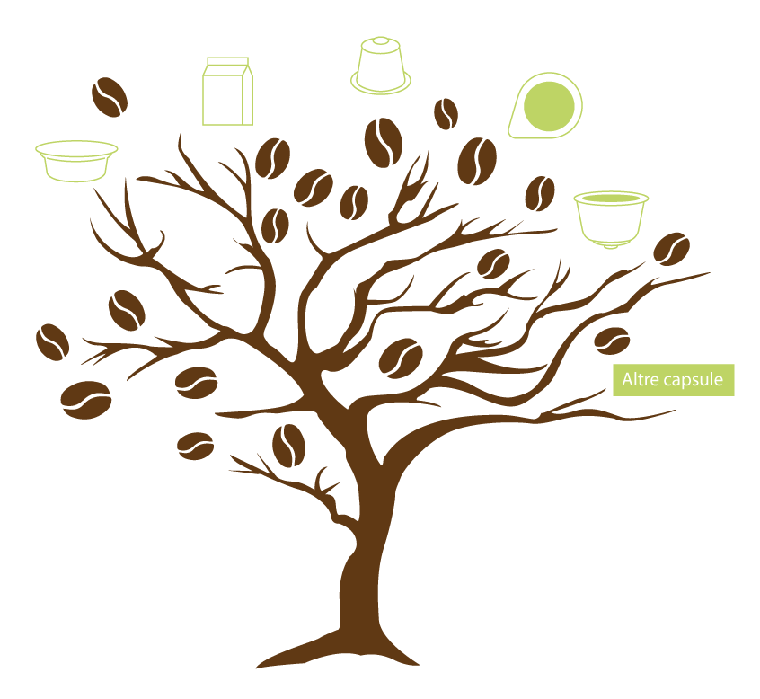 L’albero del caffè e delle bevande solubili